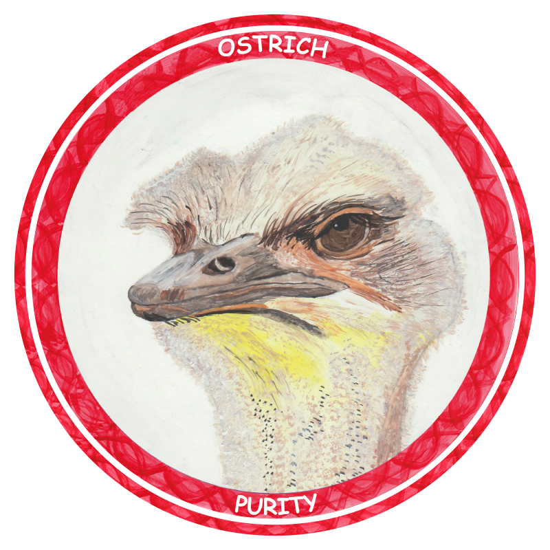 OSTRICH