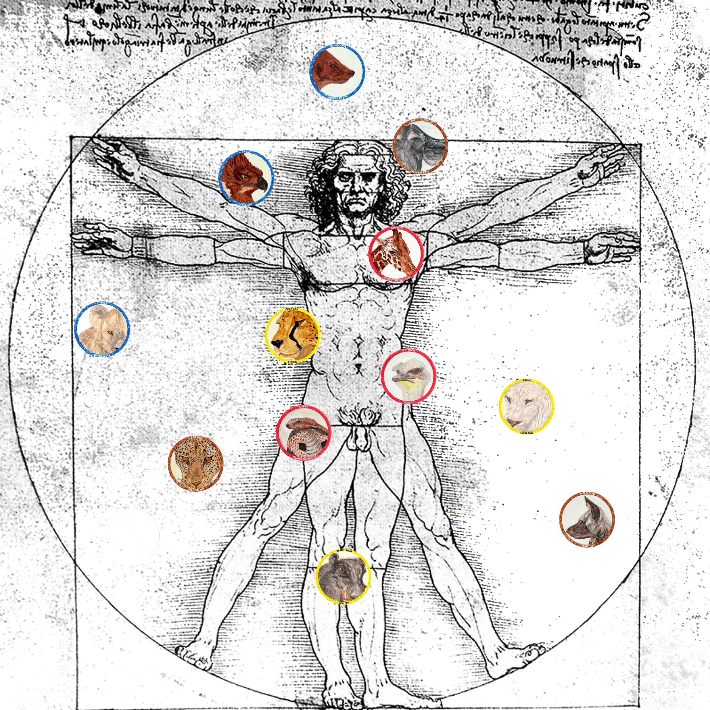 Module 3 The Birth Allies