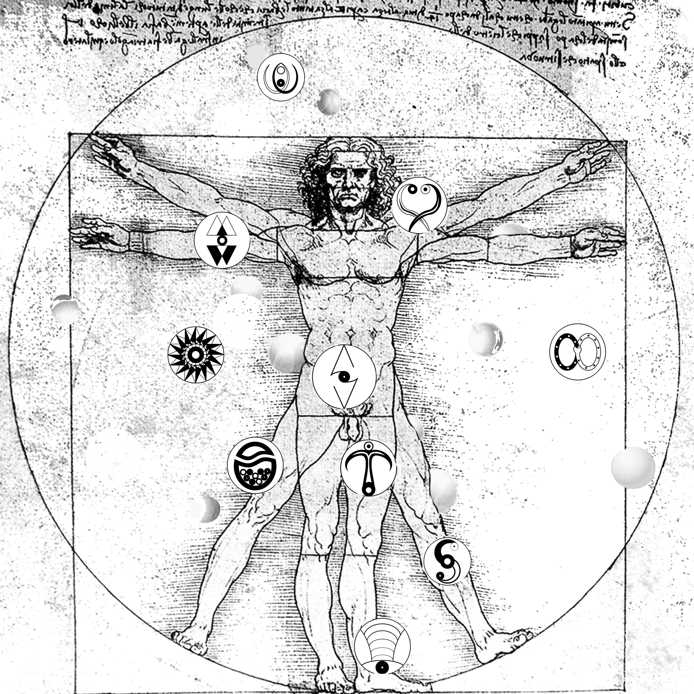 Module 6 The Nagual Spheres